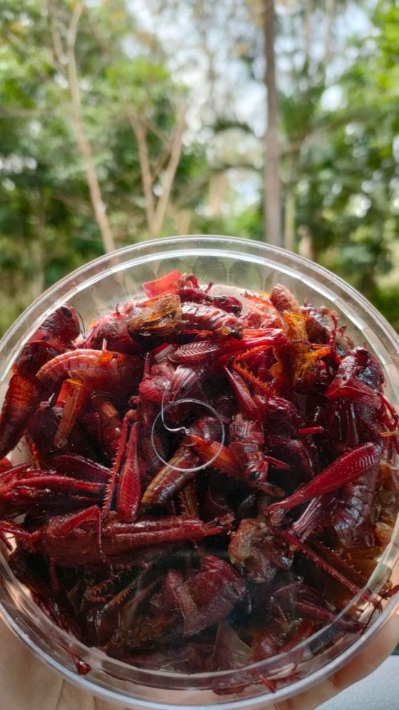 Mencoba Kuliner Unik Walang Goreng Khas Gunungkidul